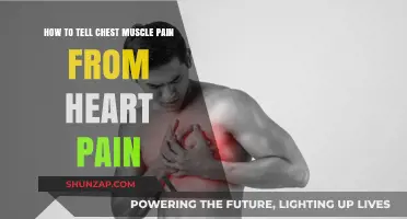 Chest Pain: Differentiating Heart Attack from Muscle Strain Symptoms