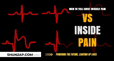 Chest Muscle Pain vs. Internal Pain: How to Tell the Difference