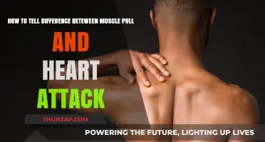 Muscle Pull or Heart Attack: Key Symptoms to Differentiate