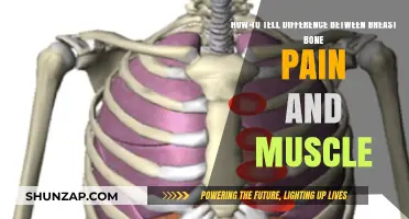 Breastbone Pain vs. Muscle Discomfort: Identifying the Key Differences