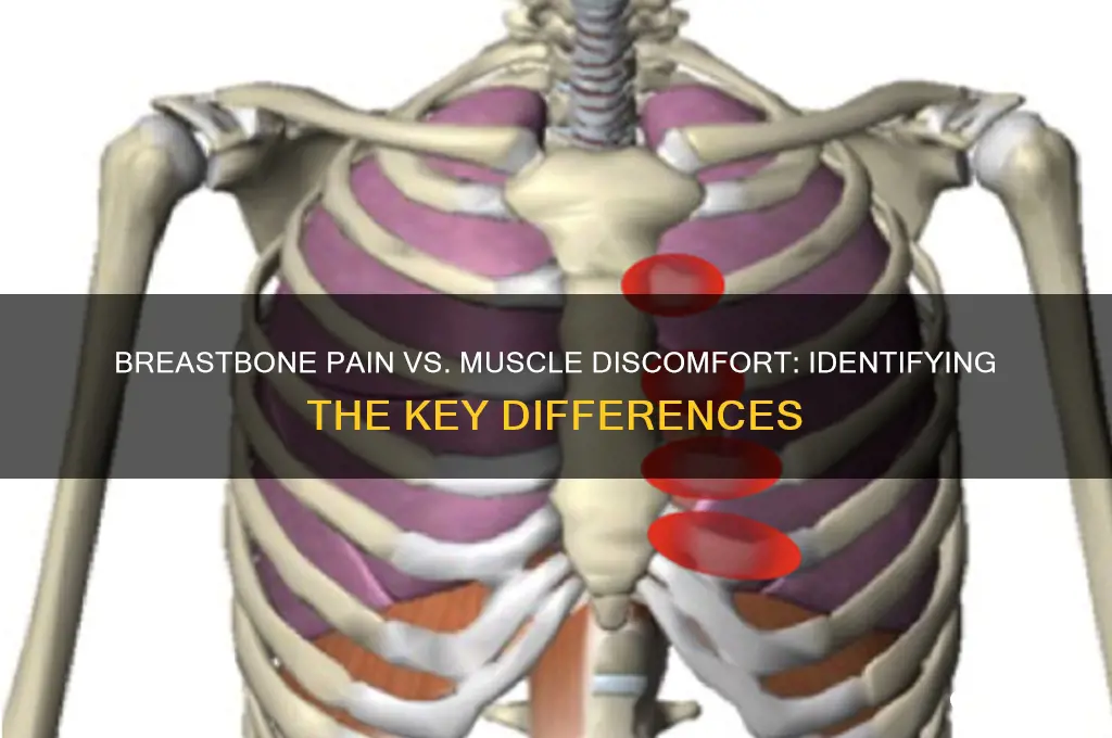 how to tell difference between breast bone pain and muscle