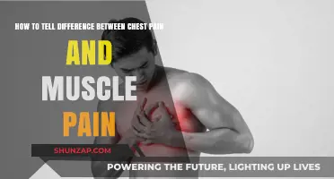 Chest Pain or Muscle Ache: Key Differences to Identify Symptoms