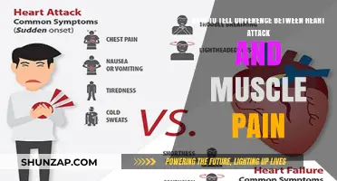 Heart Attack or Muscle Pain: Key Symptoms to Differentiate