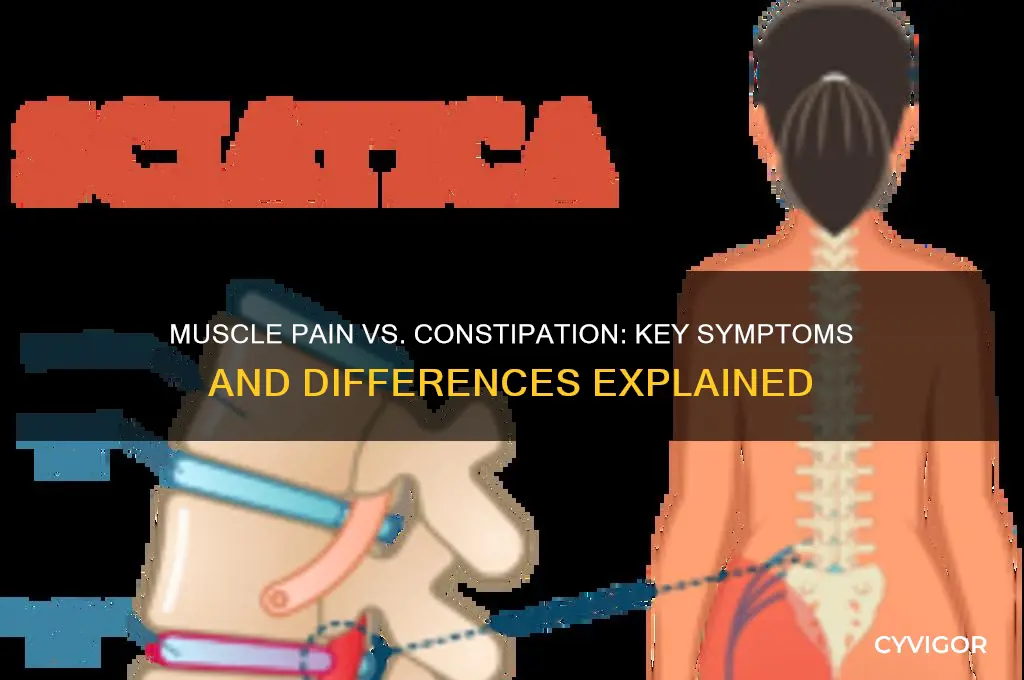 how to tell difference between muscle pain and constipation