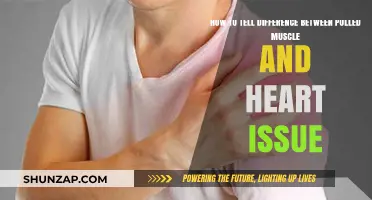Pulled Muscle or Heart Problem: Key Symptoms to Differentiate