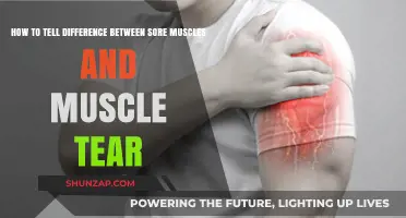 Sore Muscles vs. Muscle Tear: Key Signs to Identify the Difference