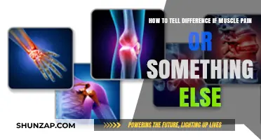 Muscle Pain or Something Else? How to Tell the Difference