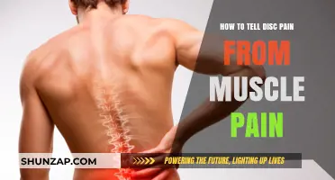 Disc Pain vs. Muscle Pain: Key Differences and How to Tell