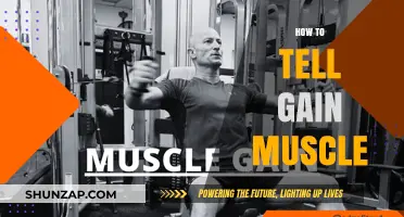 Effective Strategies for Building Muscle: A Comprehensive Guide to Gaining Mass
