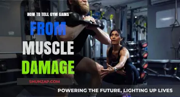 Distinguishing Gym Gains from Muscle Damage: A Comprehensive Guide