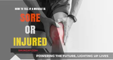 Sore or Injured? How to Tell the Difference in Your Muscles