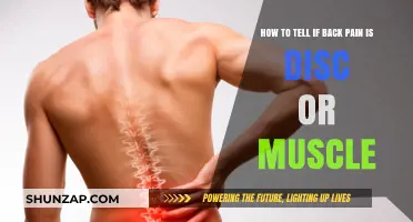 Disc or Muscle? Identifying the Source of Your Back Pain