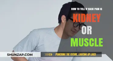 Kidney or Muscle Pain? How to Identify the Source of Your Back Pain