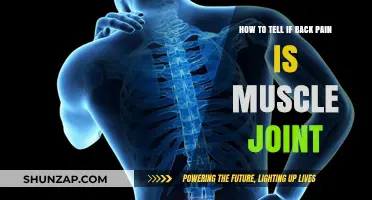 Is Your Back Pain Muscular or Joint-Related? Key Signs to Know