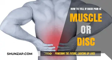 Decoding Back Pain: Muscle Strain vs. Disc Issues - A Guide