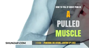 Is It a Pulled Muscle or Something More? Chest Pain Explained
