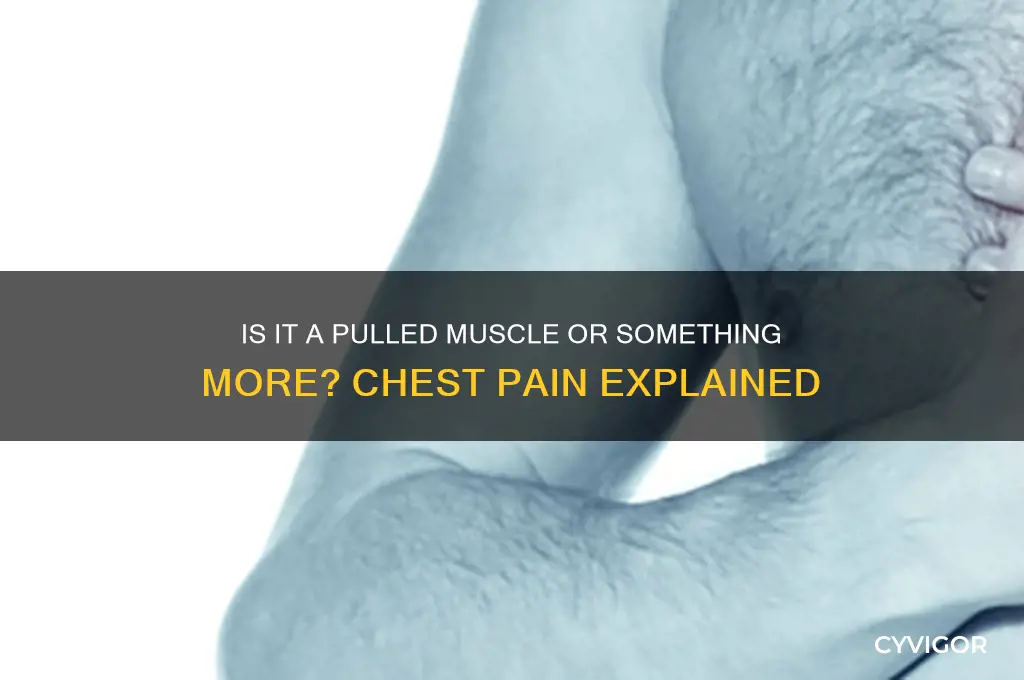 how to tell if chest pain is a pulled muscle