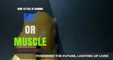 Fat or Muscle: How to Identify Your Body's Changes