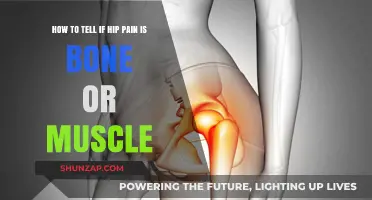 Hip Pain: Identifying Bone vs. Muscle Discomfort and Causes