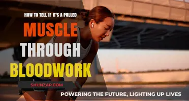 Pulled Muscle or Something Else? Bloodwork Insights for Accurate Diagnosis