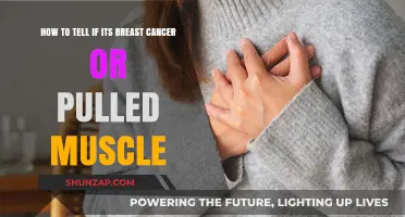 Breast Pain: Differentiating Between Pulled Muscle and Cancer Symptoms