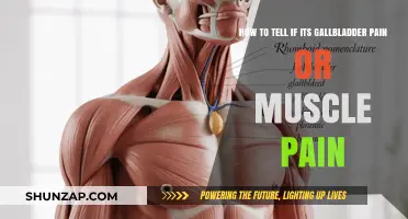 Gallbladder Pain vs. Muscle Pain: How to Identify the Difference