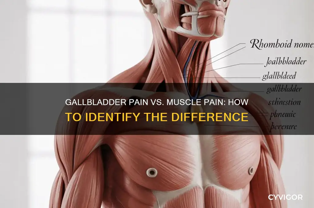 how to tell if its gallbladder pain or muscle pain