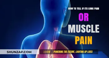 Lung Pain or Muscle Pain: How to Identify the Difference