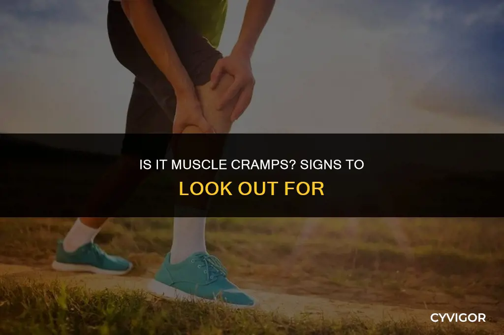 how to tell if its muscle cramps