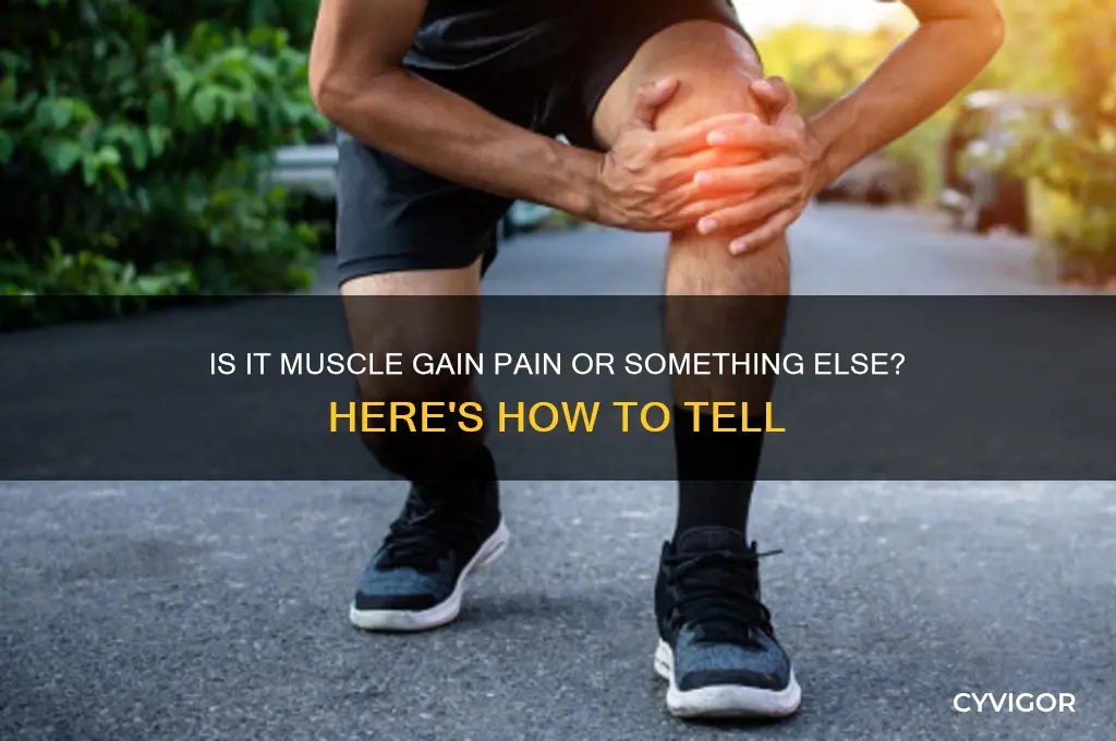 how to tell if its muscle gain pain