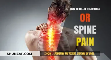 Muscle or Spine Pain: Identifying the Source and Finding Relief