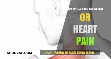 Muscle Pain or Heart Pain: How to Tell the Difference