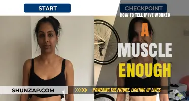 Signs You've Effectively Trained a Muscle: Recognizing Progress and Results