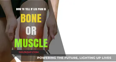 Is Your Leg Pain Bone or Muscle? Key Symptoms to Identify