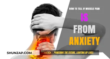 Is Your Muscle Pain Anxiety-Related? Learn to Identify the Signs