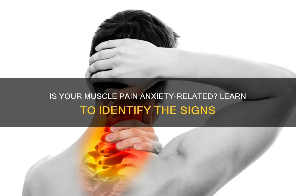 how to tell if muscle pain is from anxiety