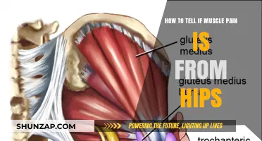 Is Your Muscle Pain Hip-Related? Key Signs to Identify the Source