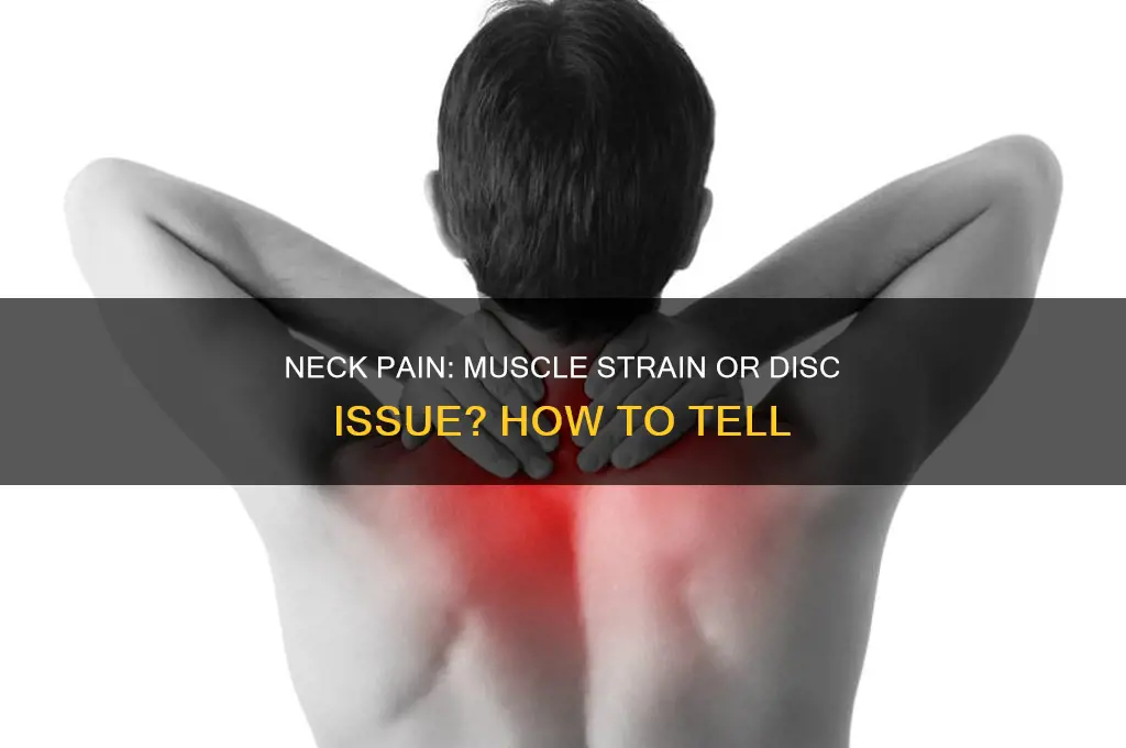 how to tell if neck pain is muscle or disc