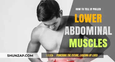 Identifying Pulled Lower Abdominal Muscles: Symptoms, Causes, and Recovery Tips