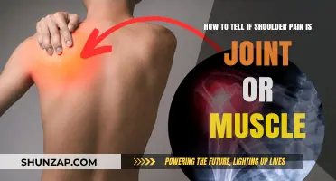 Joint or Muscle? Decoding the Source of Your Shoulder Pain