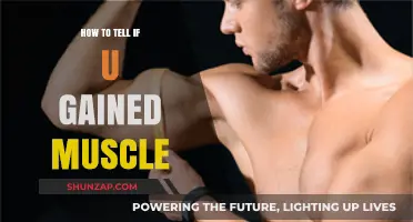 Signs You're Building Muscle: Tracking Progress Beyond the Scale