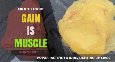 Is It Muscle or Fat? Decoding Your Weight Gain Transformation