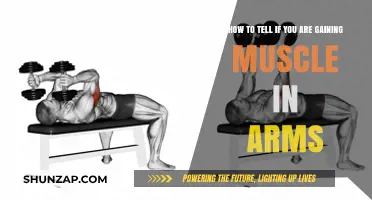 Spotting Arm Muscle Growth: Signs You're Building Strength and Size