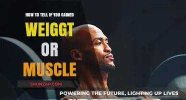 Weight or Muscle Gain: How to Identify Your Body Changes