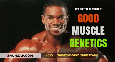 Unveiling Your Muscle Potential: Signs of Superior Genetics Revealed