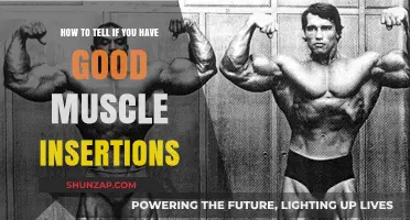 Identifying Favorable Muscle Insertions: A Guide to Your Genetic Advantages