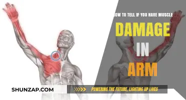 Identifying Arm Muscle Damage: Symptoms, Causes, and When to Seek Help
