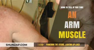 Recognizing Arm Muscle Tears: Symptoms, Causes, and Immediate Steps