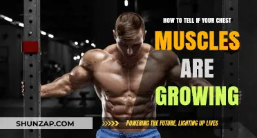 Signs Your Chest Muscles Are Growing: Tracking Pec Progress Effectively