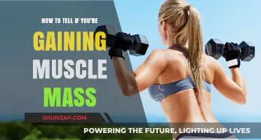 Signs You're Building Muscle: Tracking Your Strength and Physique Progress